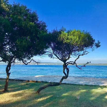 Seaside Bamboo - Fažana