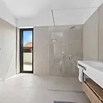 Seaside Bamboo -